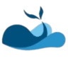 鲸滔网络 Logo